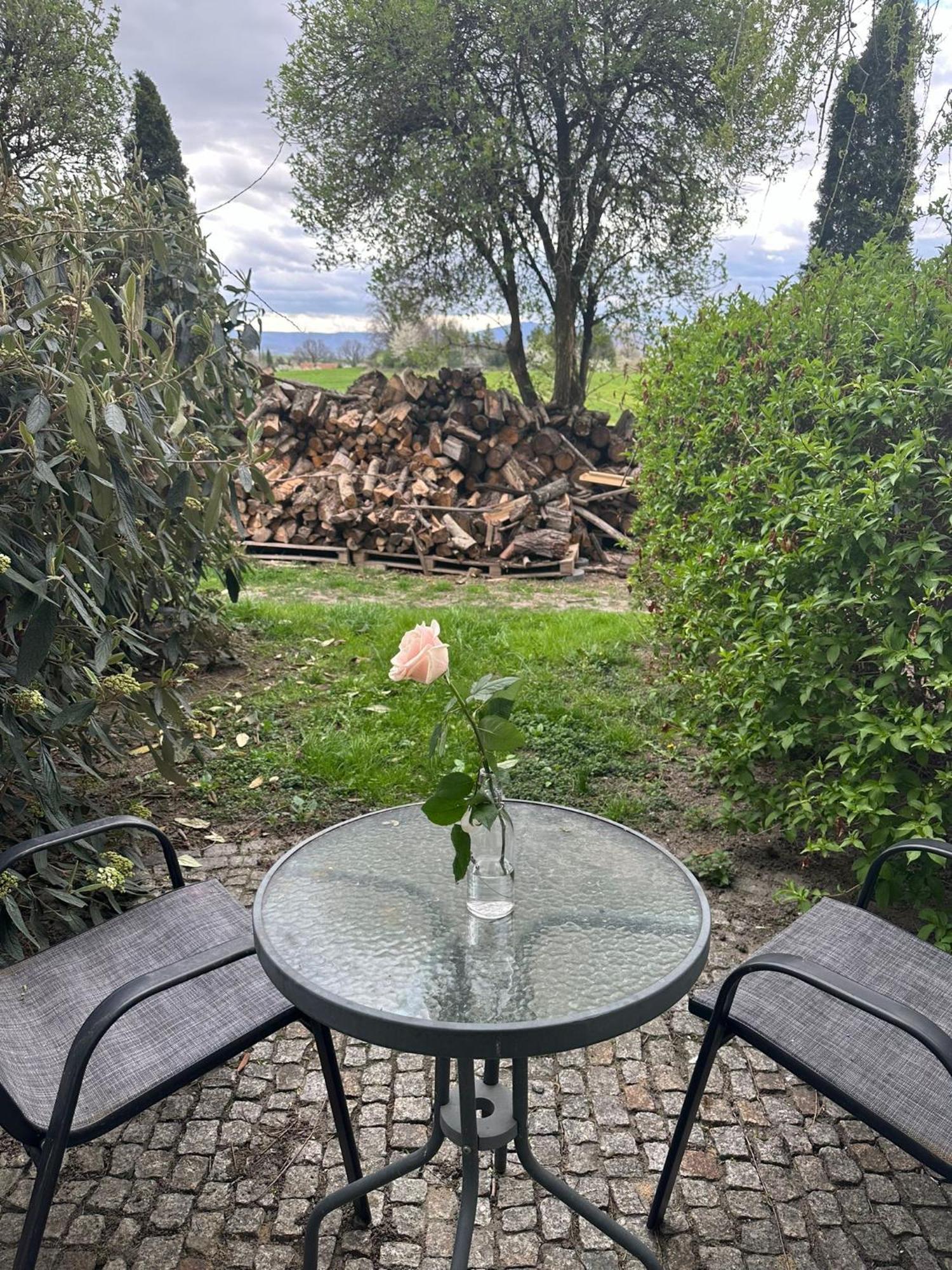 Forteca, Pokoje Goscinne Nad Stawem Dzierżoniów Exterior foto