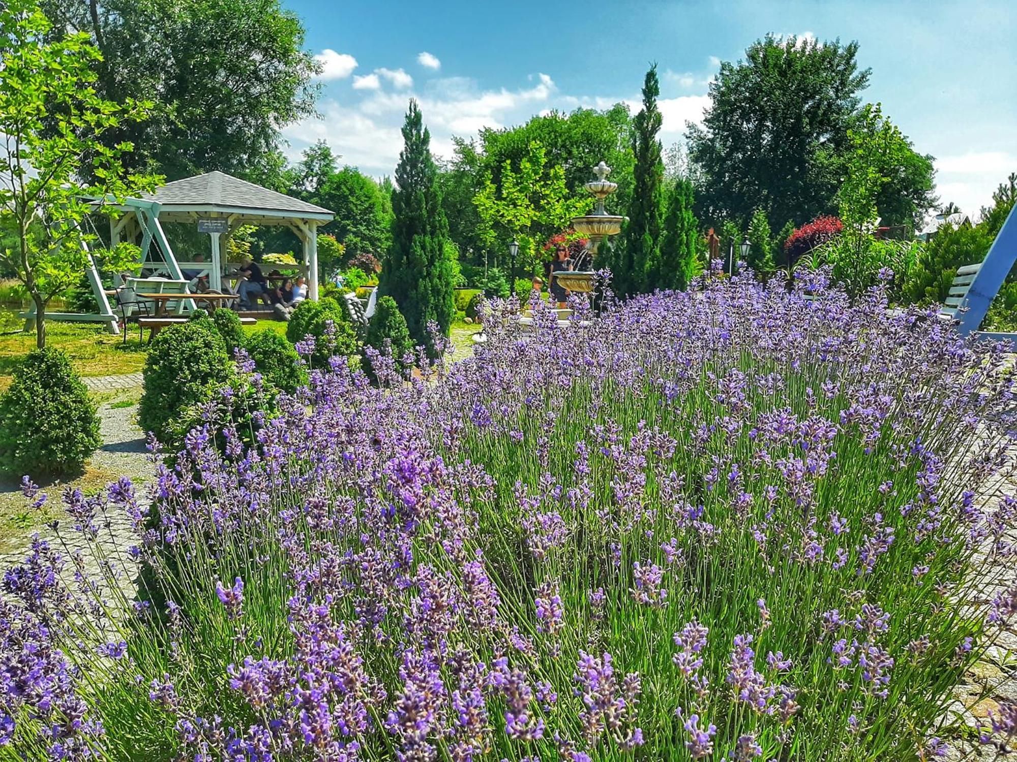 Forteca, Pokoje Goscinne Nad Stawem Dzierżoniów Exterior foto